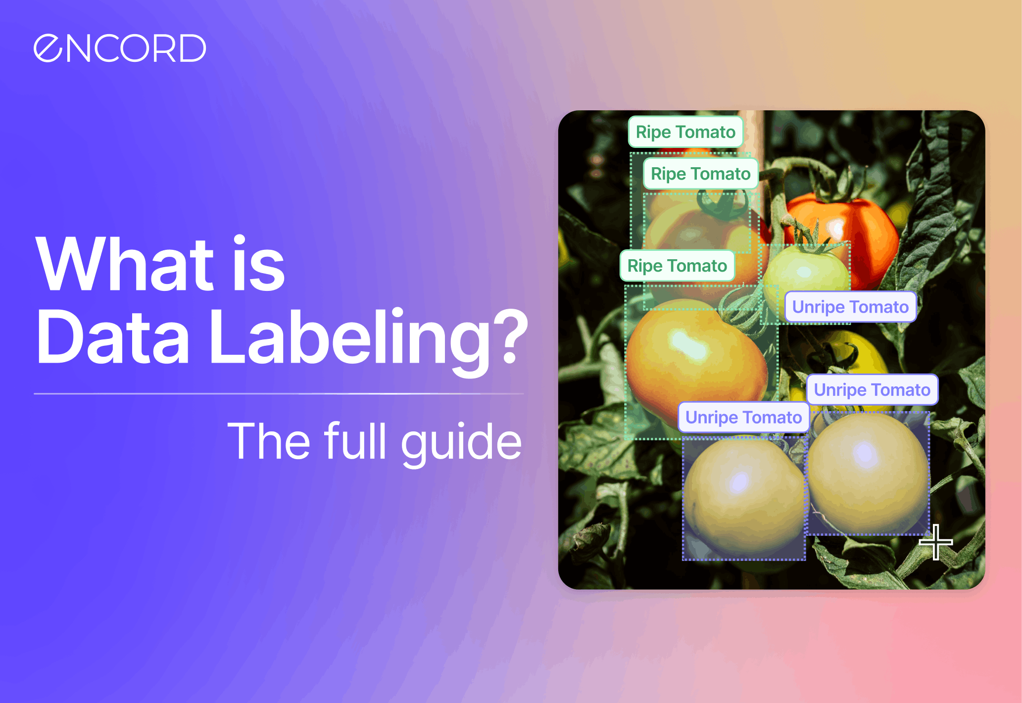 sampleImage_data-labeling-guide