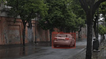 sampleImage_video-annotation-issues