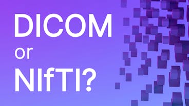 sampleImage_dicom-and-nifti-comparison