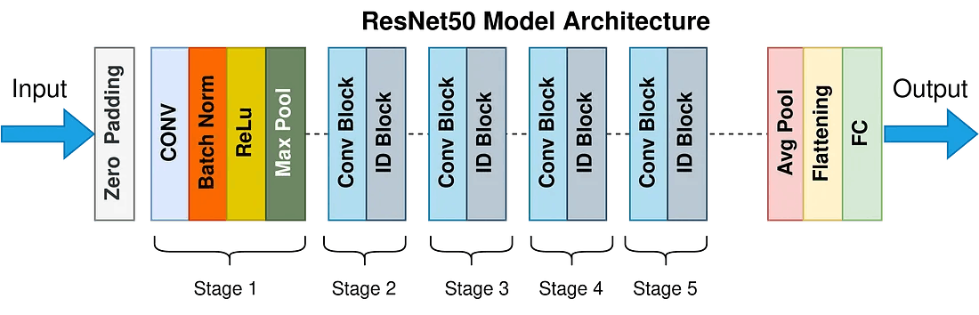 ResNet50 Model 