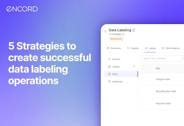 sampleImage_build-data-labeling-ops