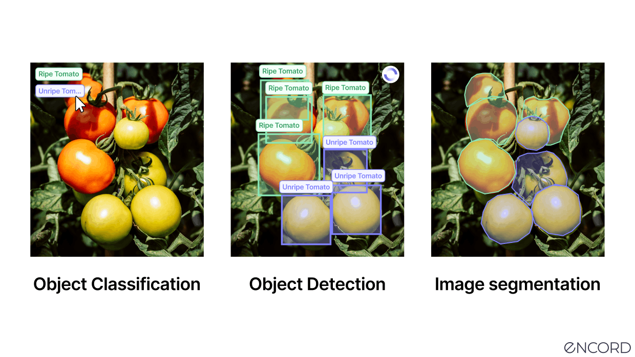 Encord in action, AI-assisted data labeling