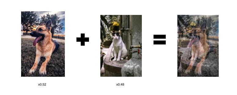 Example of mix-up image.