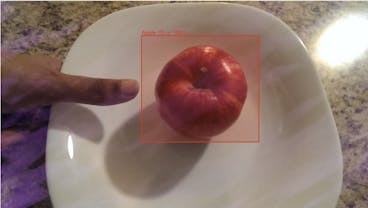 sampleImage_label-a-dataset-with-a-few-lines-of-code