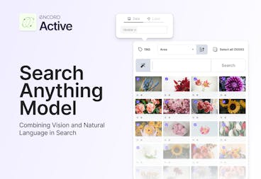 sampleImage_search-anything-model-introduction