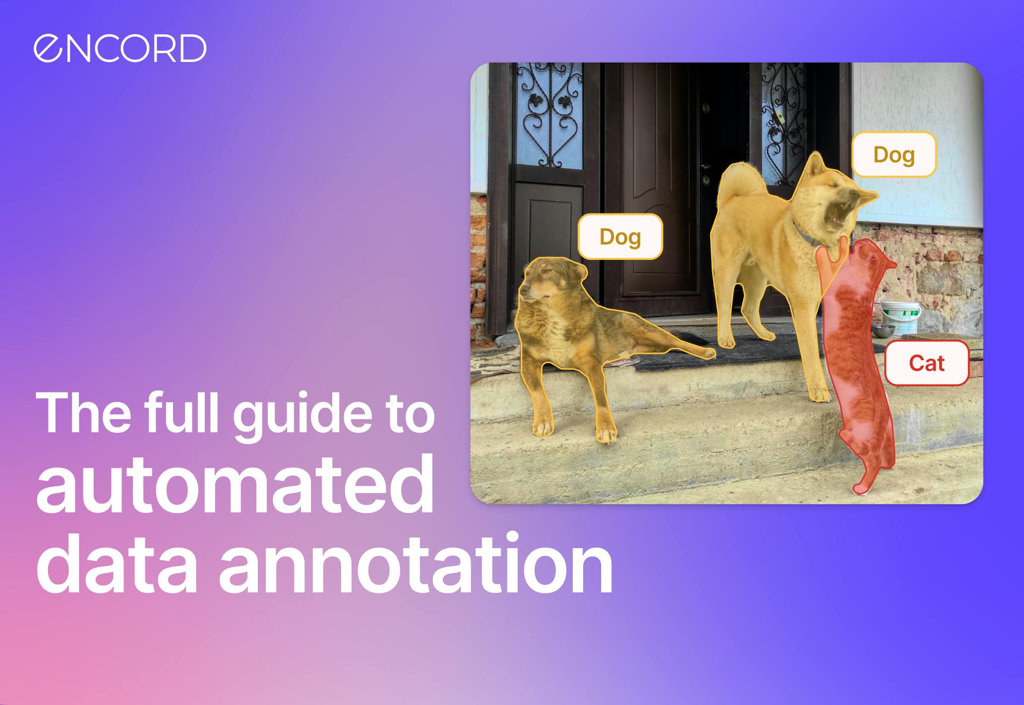 sampleImage_automated-data-annotation-guide