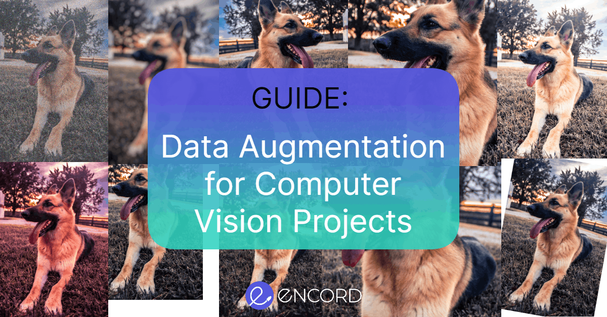 sampleImage_the-guide-to-data-augmentation-for-computer-vision-projects
