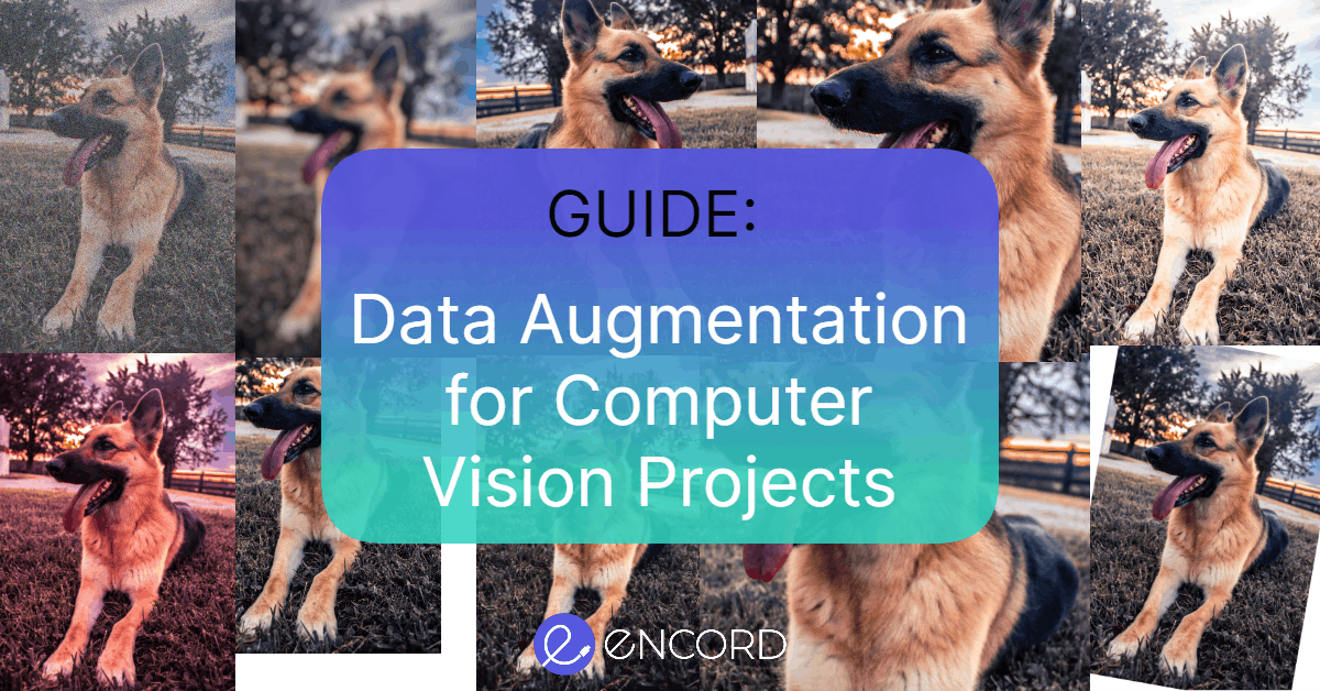 sampleImage_data-augmentation-guide