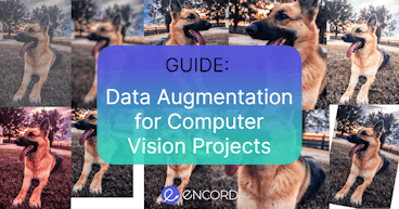sampleImage_data-augmentation-guide