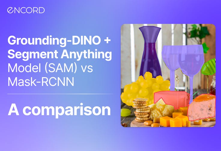 Learn how to fine-tune the Segment Anything Model (SAM) | Encord