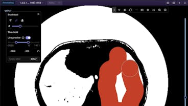 sampleImage_dicom-updates-may-2023