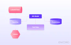 A Comprehensive Guide to Supervised Learning | Encord