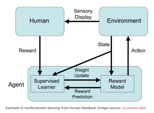 Reinforcement learning from human feedback: human in the loop