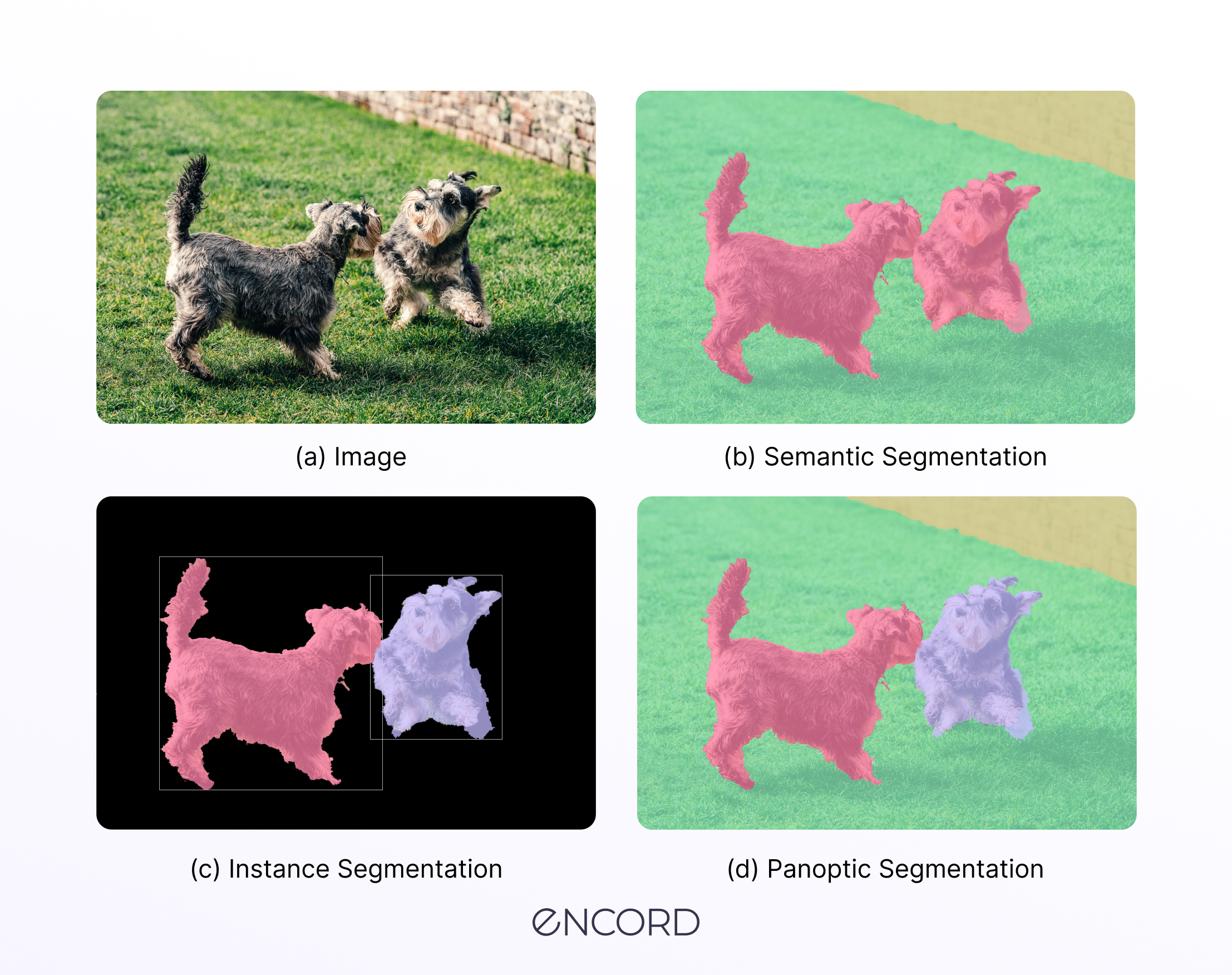 Pantopic Segmentation: Definition, Key Components, & Applications | Encord