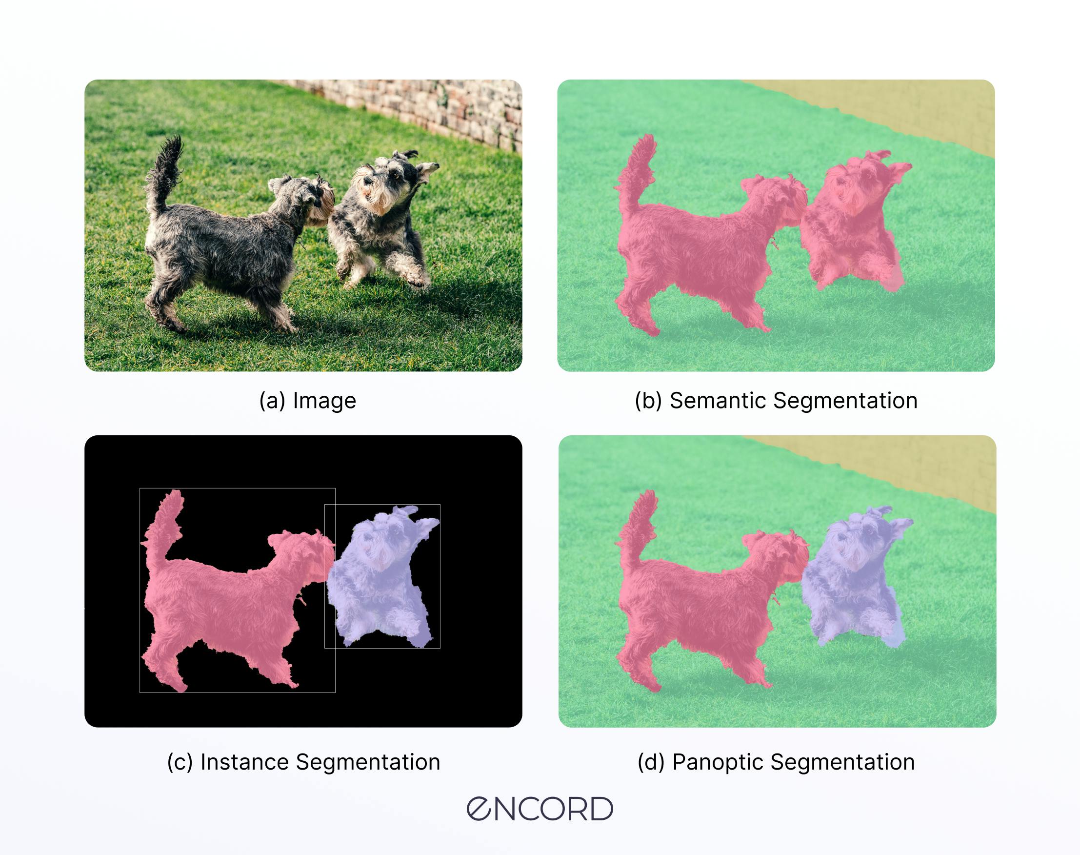 Panoptic Segmentation vs Semantic Segmentation vs Instance Segmentation