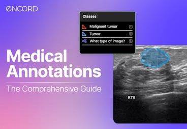 sampleImage_medical-image-annotation-tools