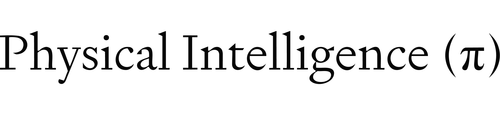 physical intelligence