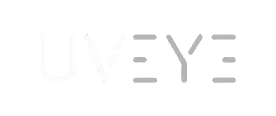 sampleImage_uveye-case-study