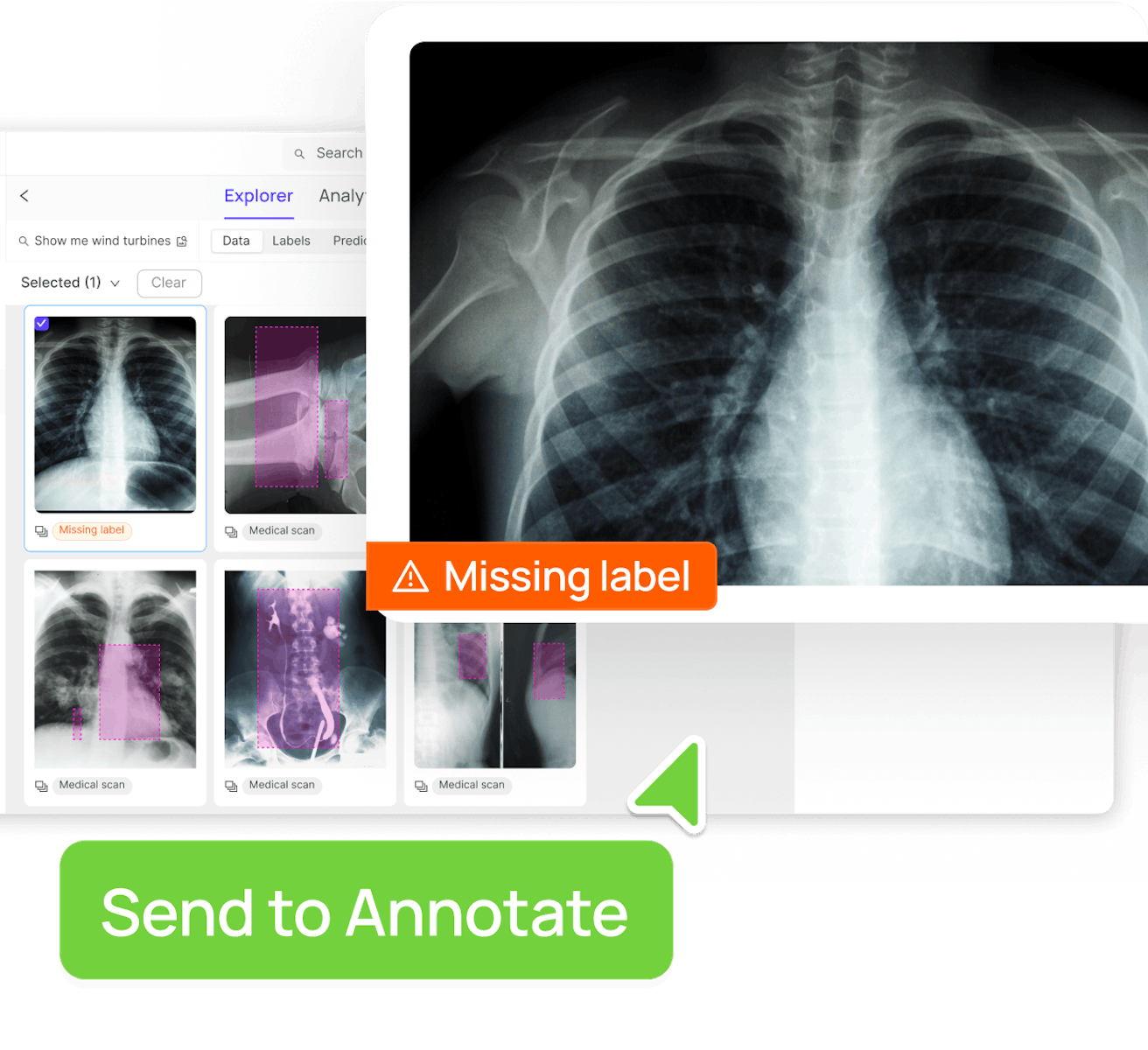 vermeer-section-image1