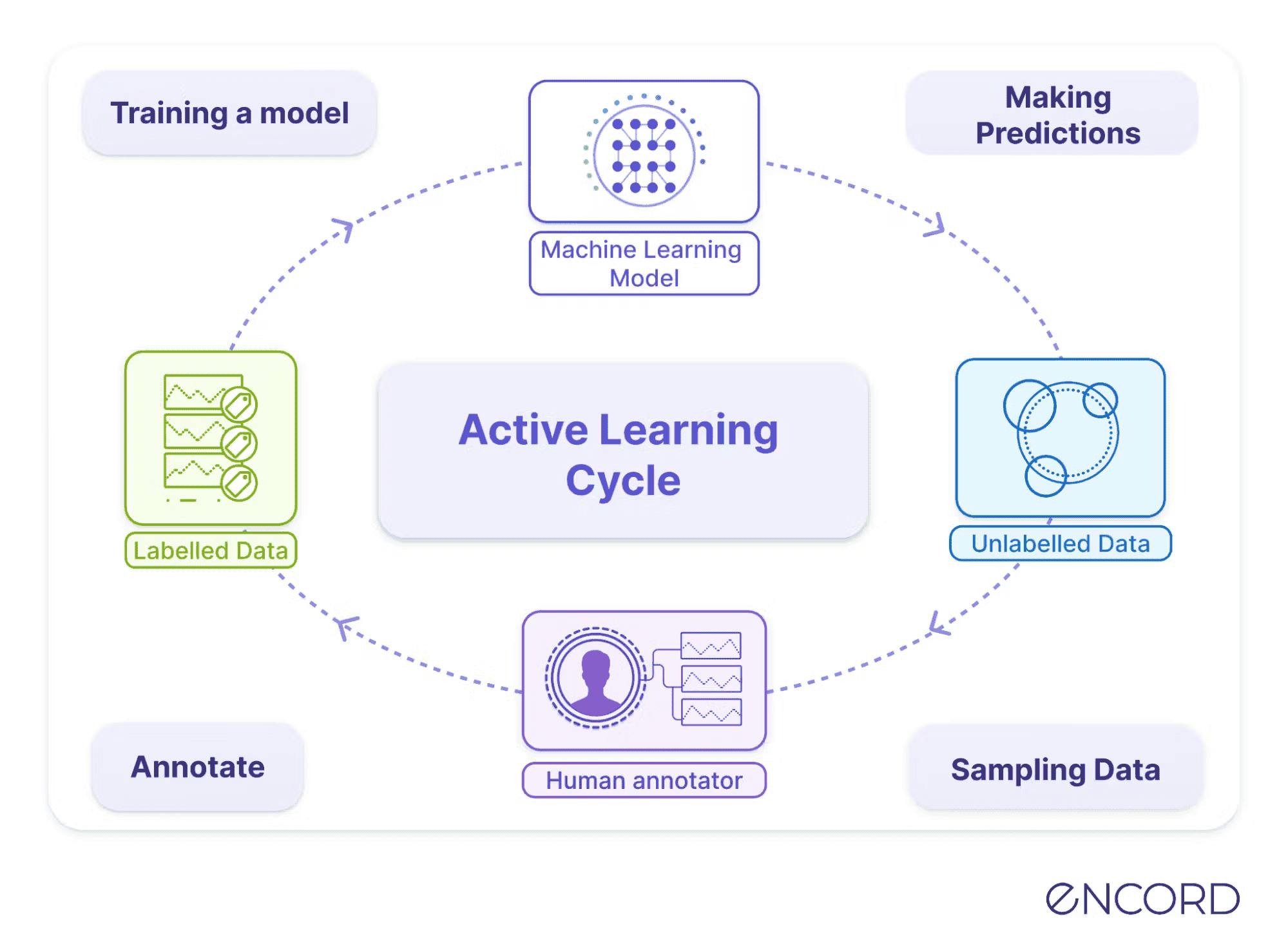 Active learning cycle 