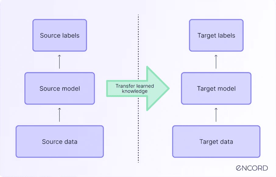 Graphic visualising Transfer Learning 