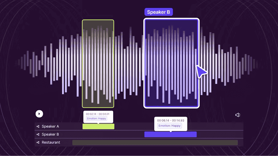 Audio Data Annotation 