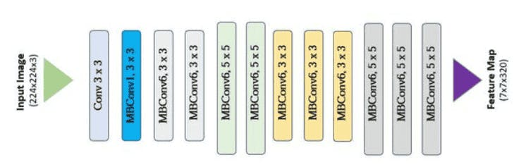 Basic EfficientNet Architecture