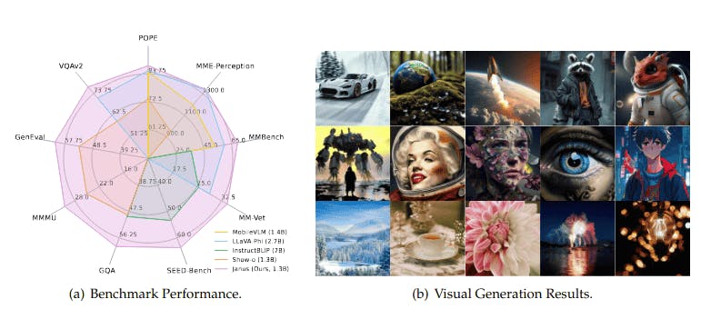 Janus benchmark performance and visual generation results 