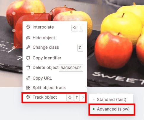 AI activated tracking using SAM 2 in Encord platform 