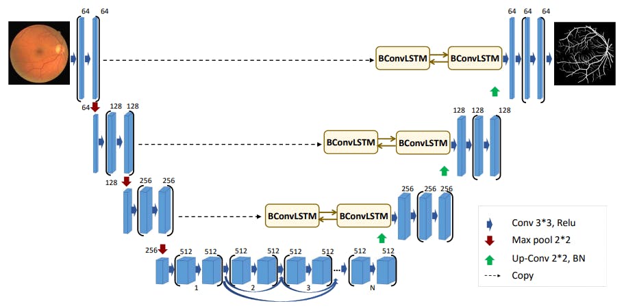 BCDU-Net Architecture