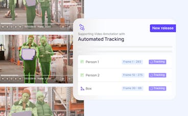 sampleImage_automated-segmentation-tracking-for-video