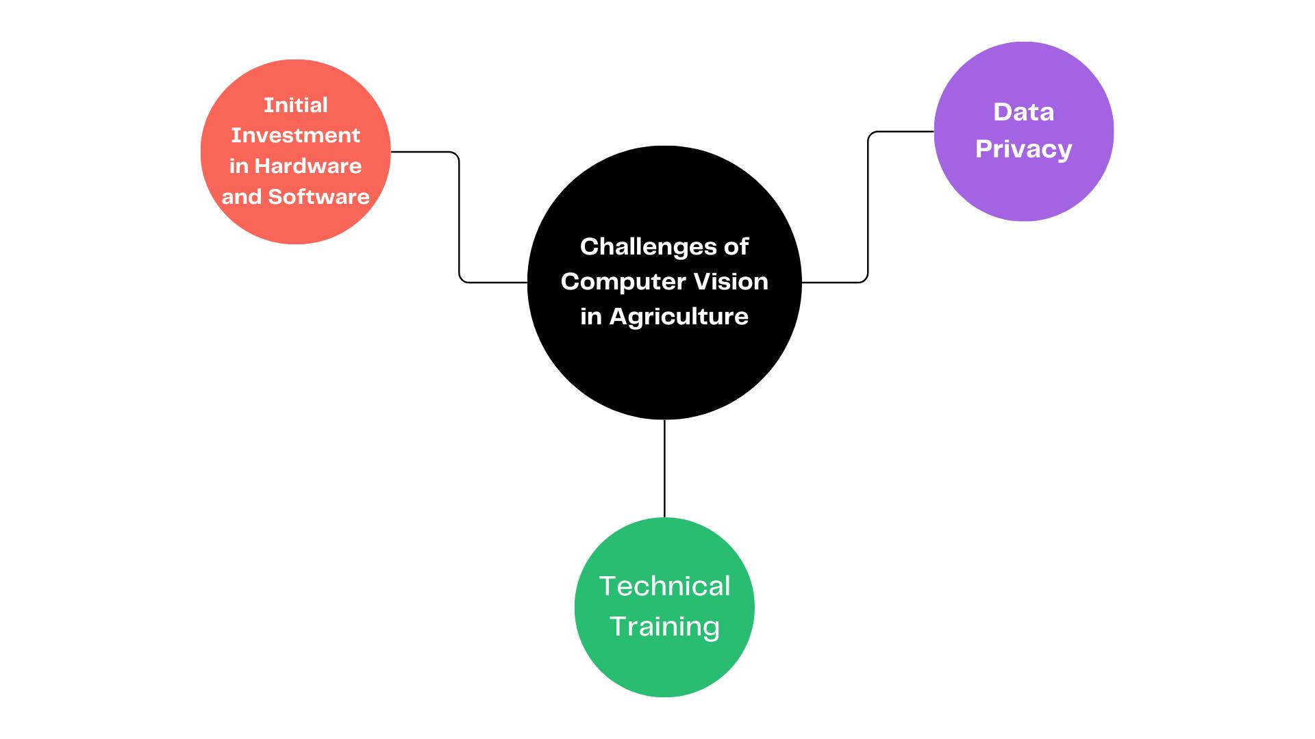 Challenges of Computer Vision Applications in Agriculture