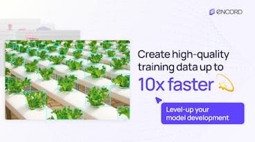 sampleImage_detect-data-quality-issues-in-torchvision-dataset-using-encord-active