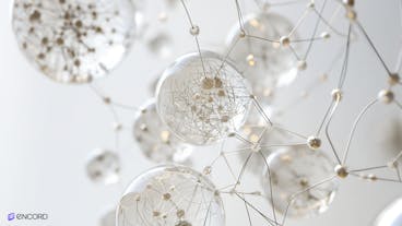 sampleImage_vgg-image-annotator-via-alternatives