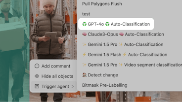 sampleImage_pre-label-data-with-gpt-4o