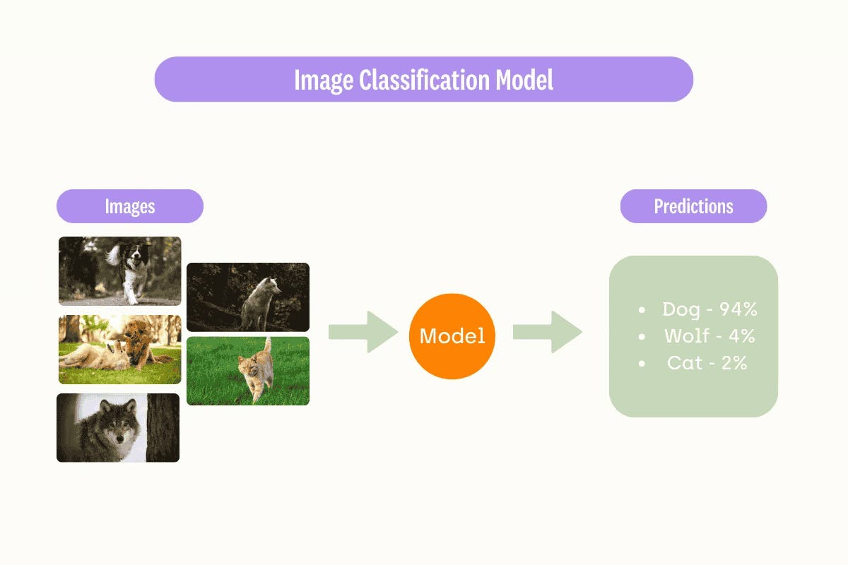 How a vanilla image classification model works