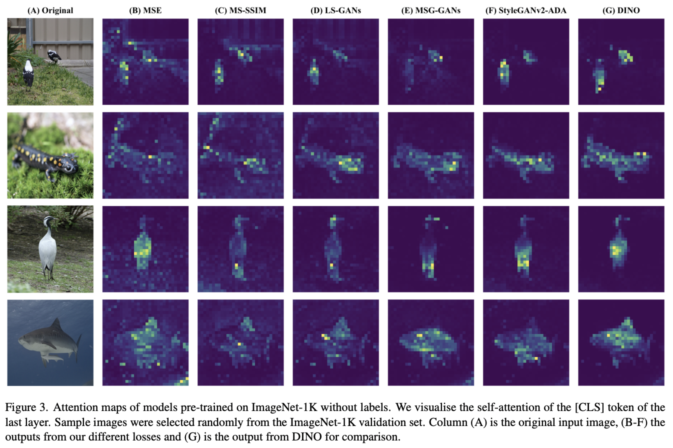 Most Anticipated Papers From CVPR 2023