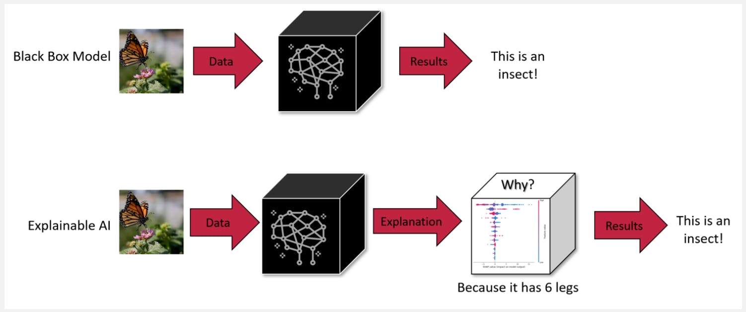 Explainable Model vs. Black Box Model Illustration | Encord