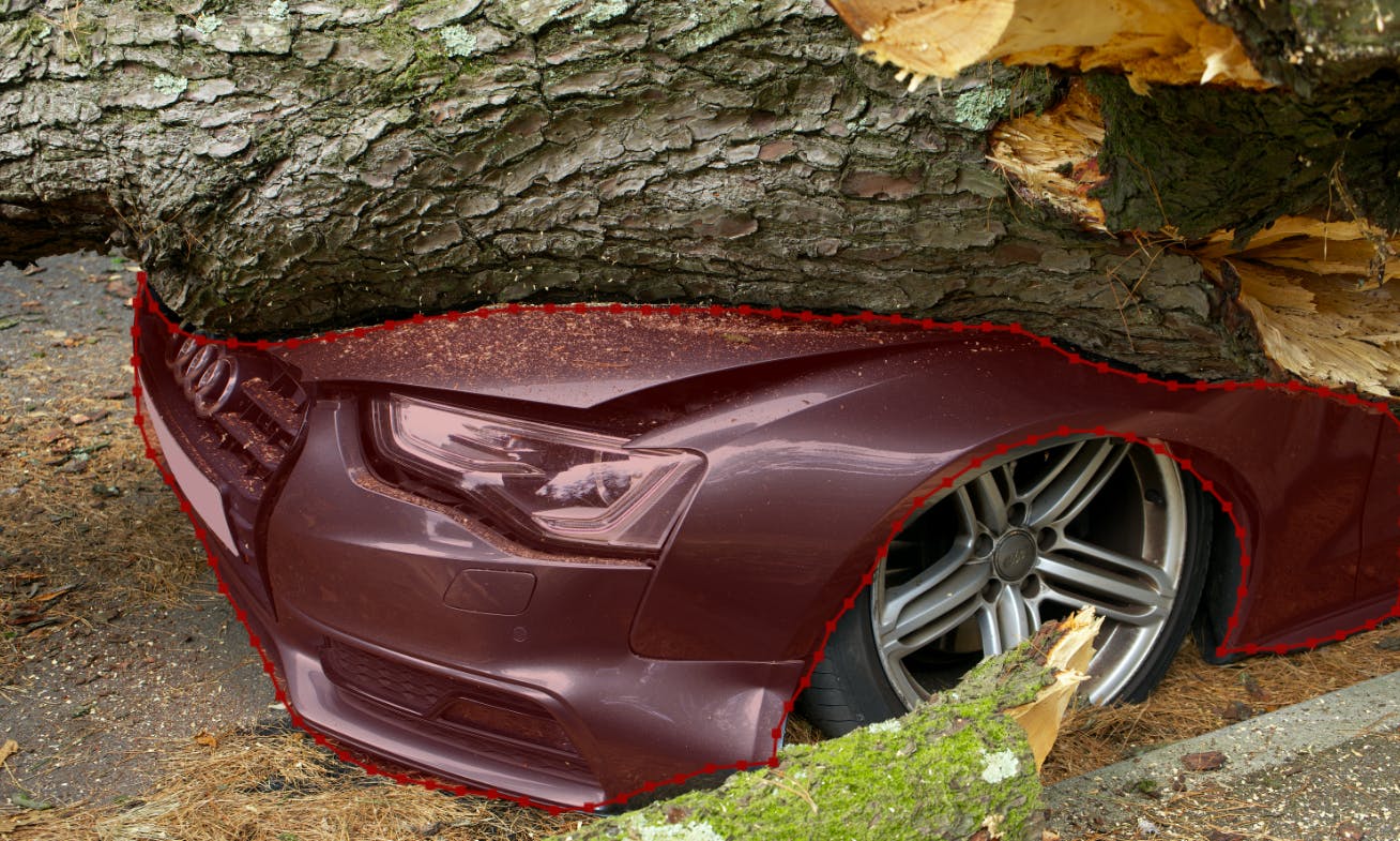 sampleImage_computer-vision-use-cases-insurance