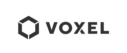 voxel