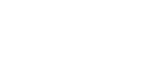automotus