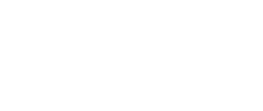 standard ai