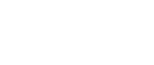 pickle robot