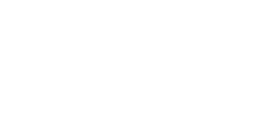 sampleImage_voxel-case-study