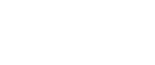 viz ai