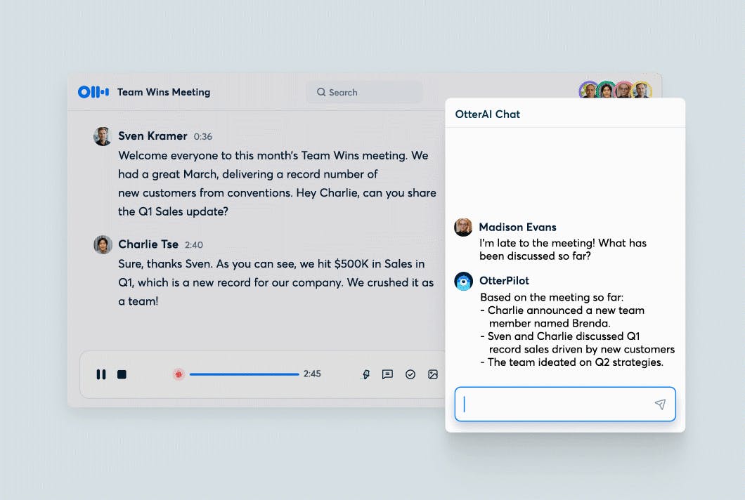 Otter.ai transcription