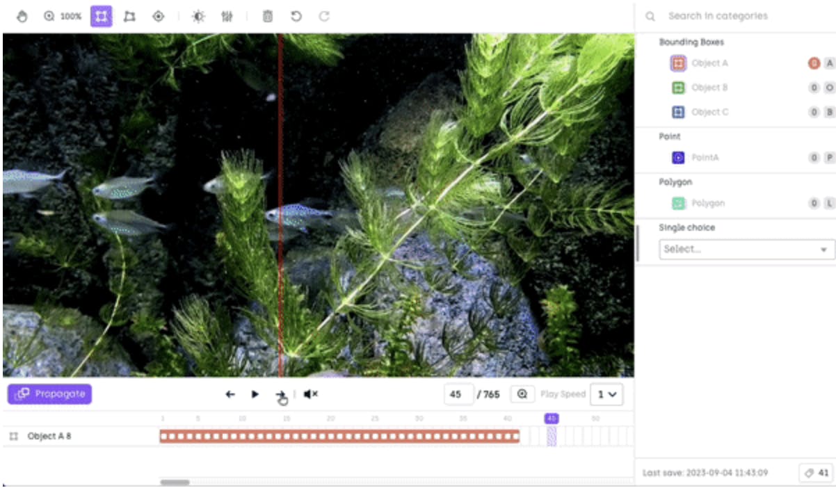 Video Annotation in Kili Technology