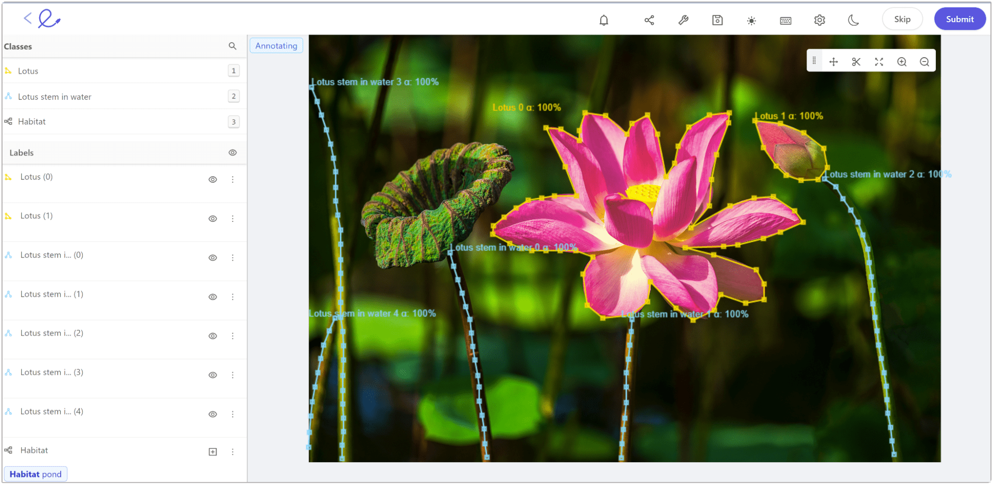 Keypoint annotation in Encord