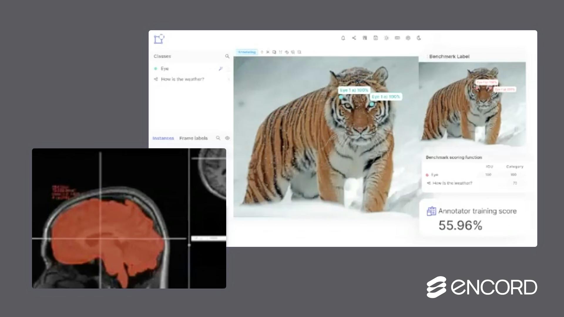 sampleImage_webinar-workshop-workflows-and-active-learning