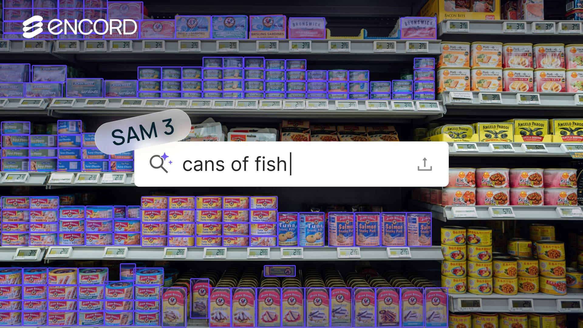 sampleImage_segment-anything-model-3